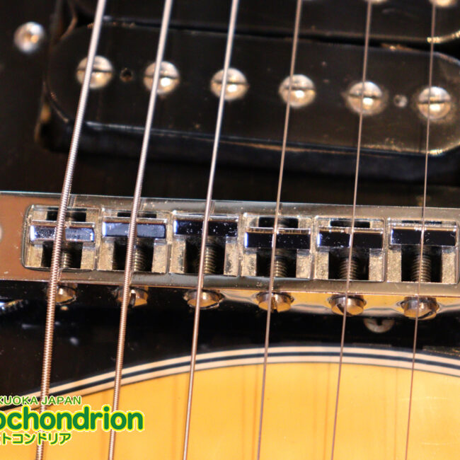 2ハムバッカーなのにスペシャル？しかもエボニー指版？