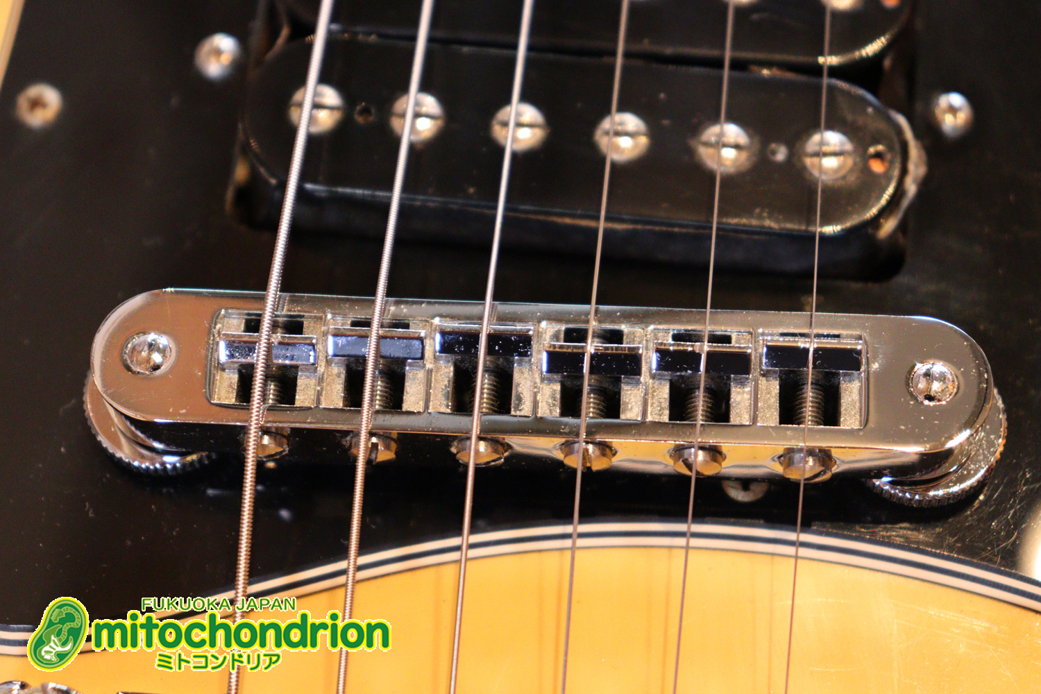 2ハムバッカーなのにスペシャル？しかもエボニー指版？