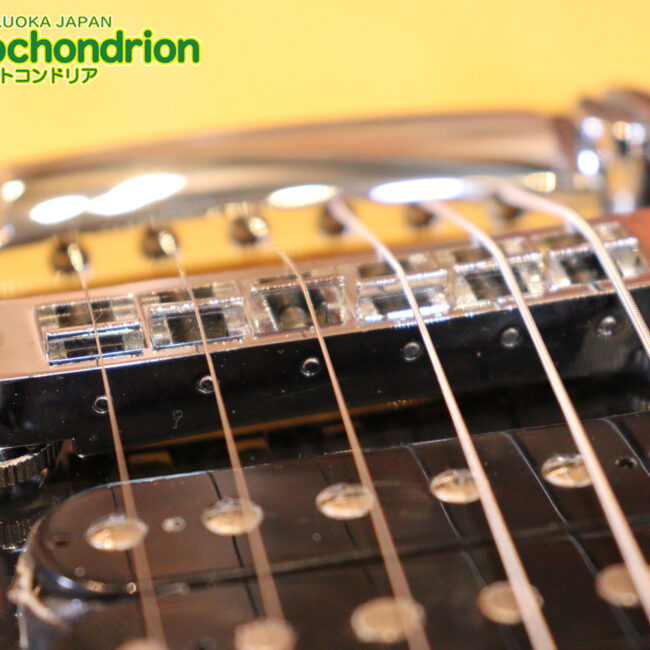 2ハムバッカーなのにスペシャル？しかもエボニー指版？