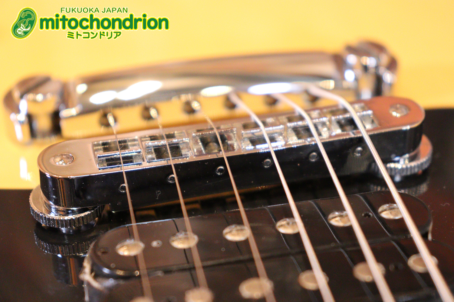 2ハムバッカーなのにスペシャル？しかもエボニー指版？