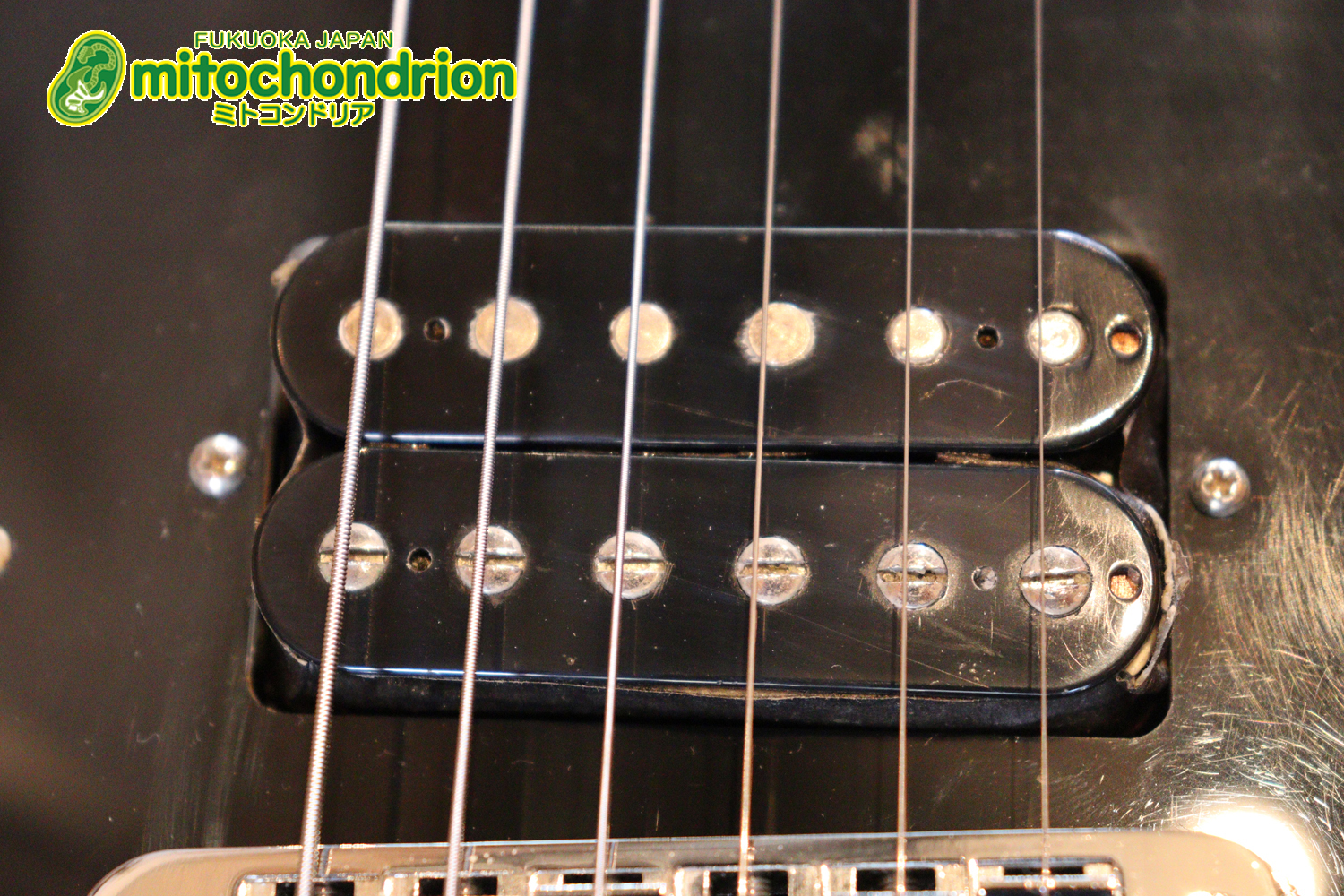 2ハムバッカーなのにスペシャル？しかもエボニー指版？