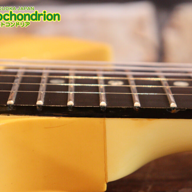 2ハムバッカーなのにスペシャル？しかもエボニー指版？