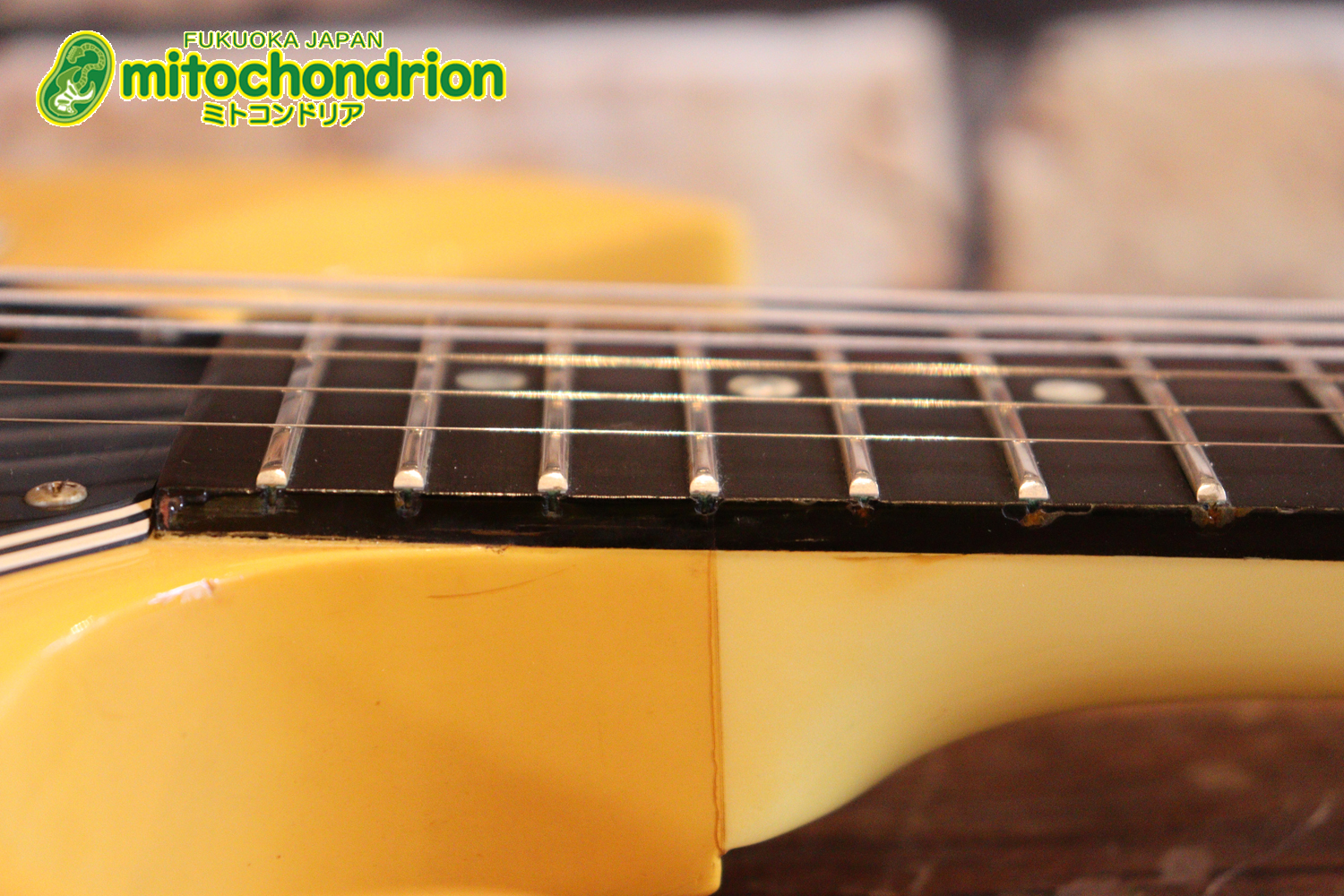 2ハムバッカーなのにスペシャル？しかもエボニー指版？