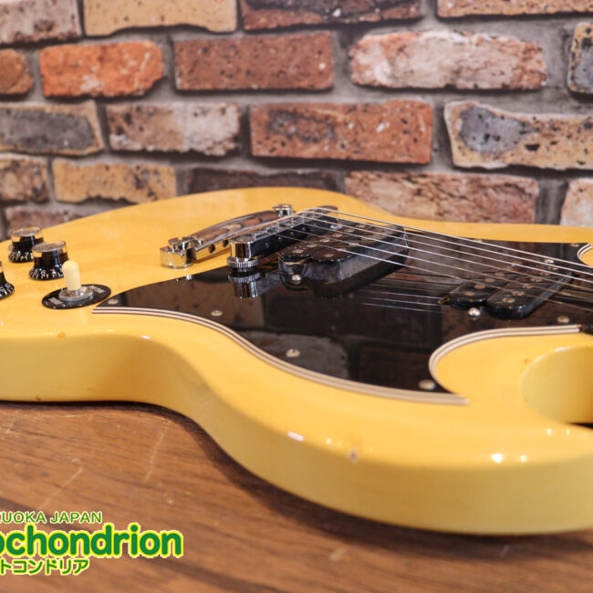 2ハムバッカーなのにスペシャル？しかもエボニー指版？