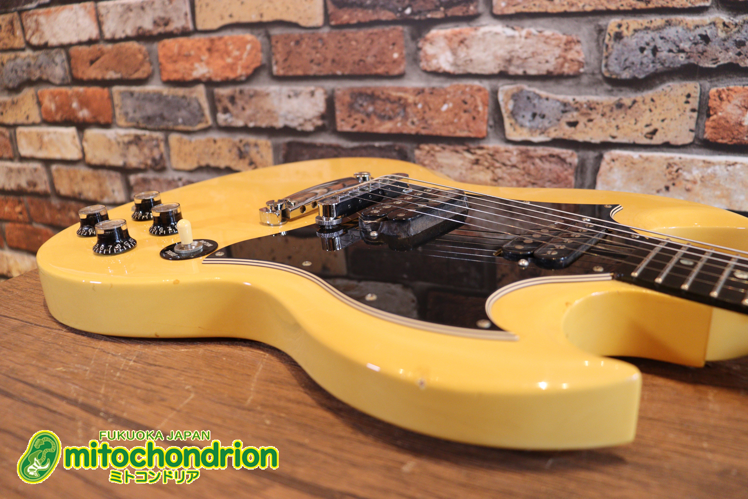 2ハムバッカーなのにスペシャル？しかもエボニー指版？