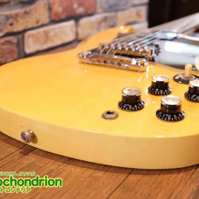 2ハムバッカーなのにスペシャル？しかもエボニー指版？