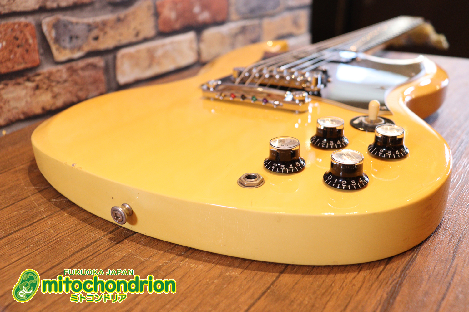 2ハムバッカーなのにスペシャル？しかもエボニー指版？