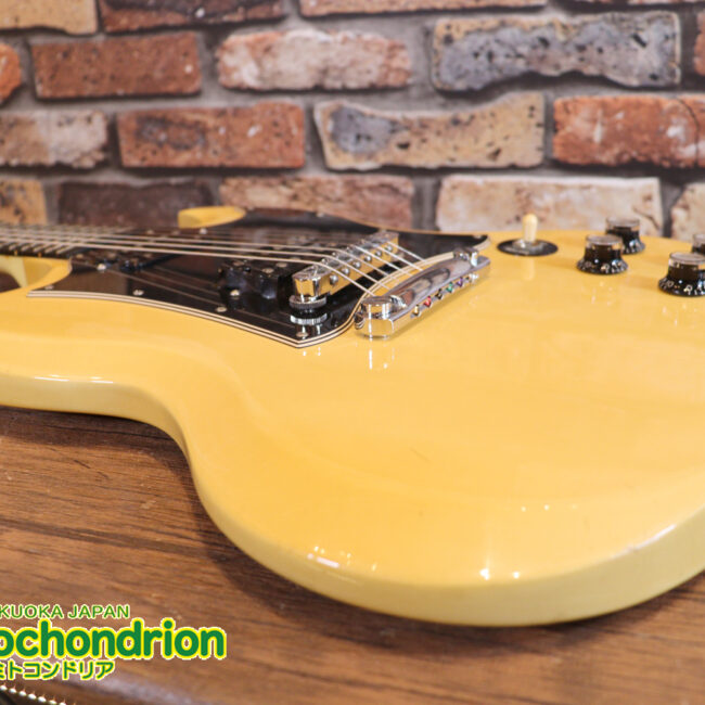 2ハムバッカーなのにスペシャル？しかもエボニー指版？