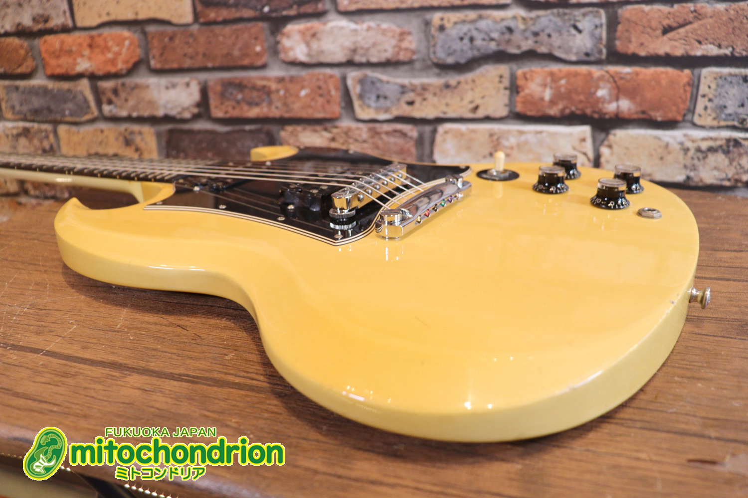 2ハムバッカーなのにスペシャル？しかもエボニー指版？