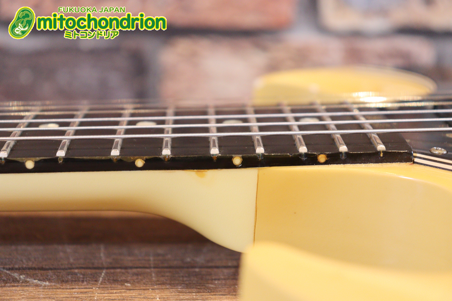 2ハムバッカーなのにスペシャル？しかもエボニー指版？