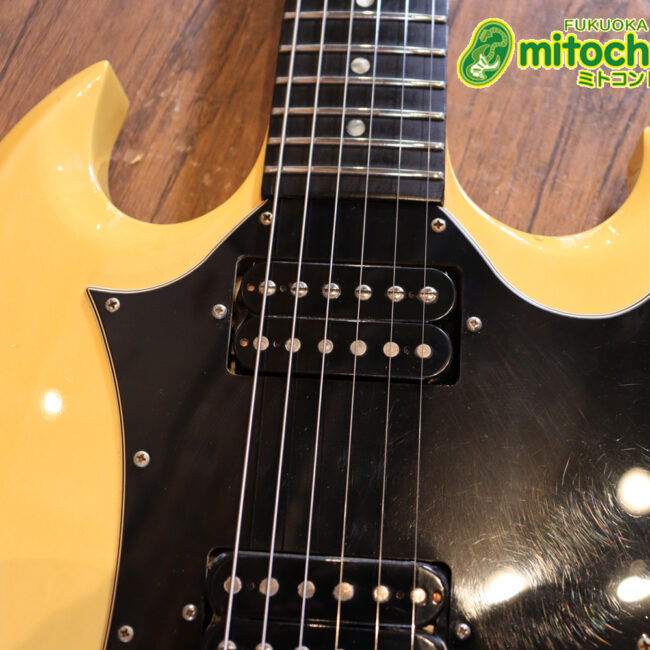 2ハムバッカーなのにスペシャル？しかもエボニー指版？