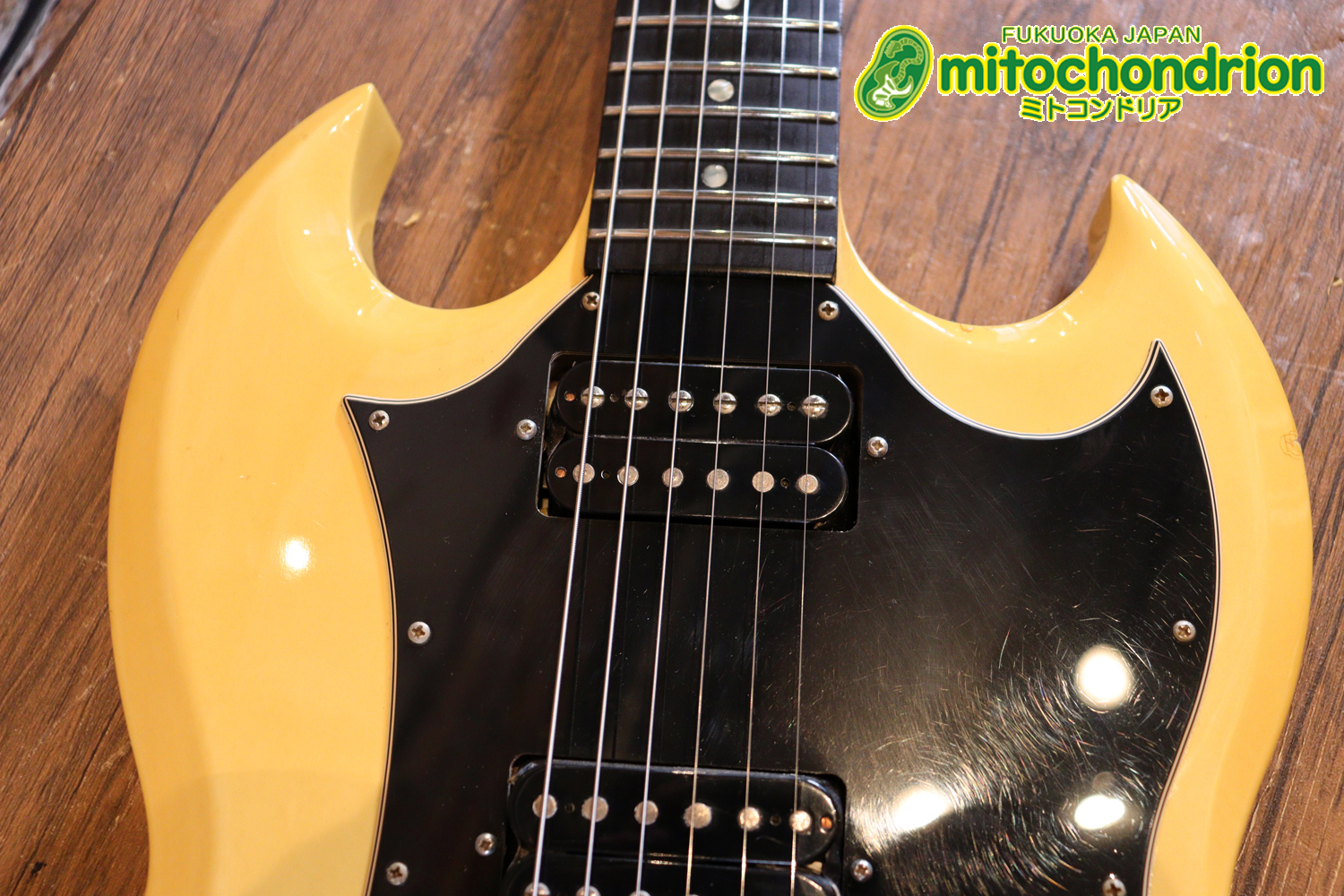 2ハムバッカーなのにスペシャル？しかもエボニー指版？