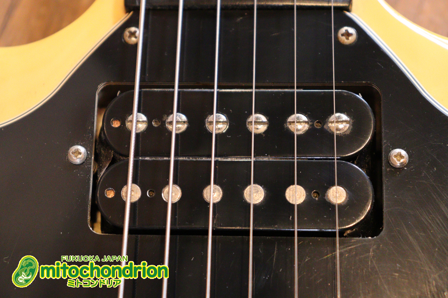 2ハムバッカーなのにスペシャル？しかもエボニー指版？