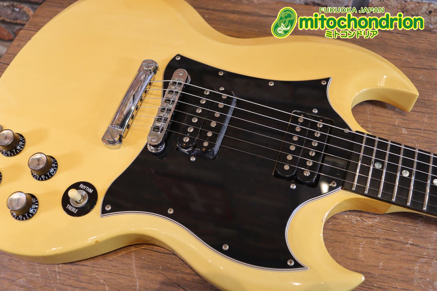 2ハムバッカーなのにスペシャル？しかもエボニー指版？