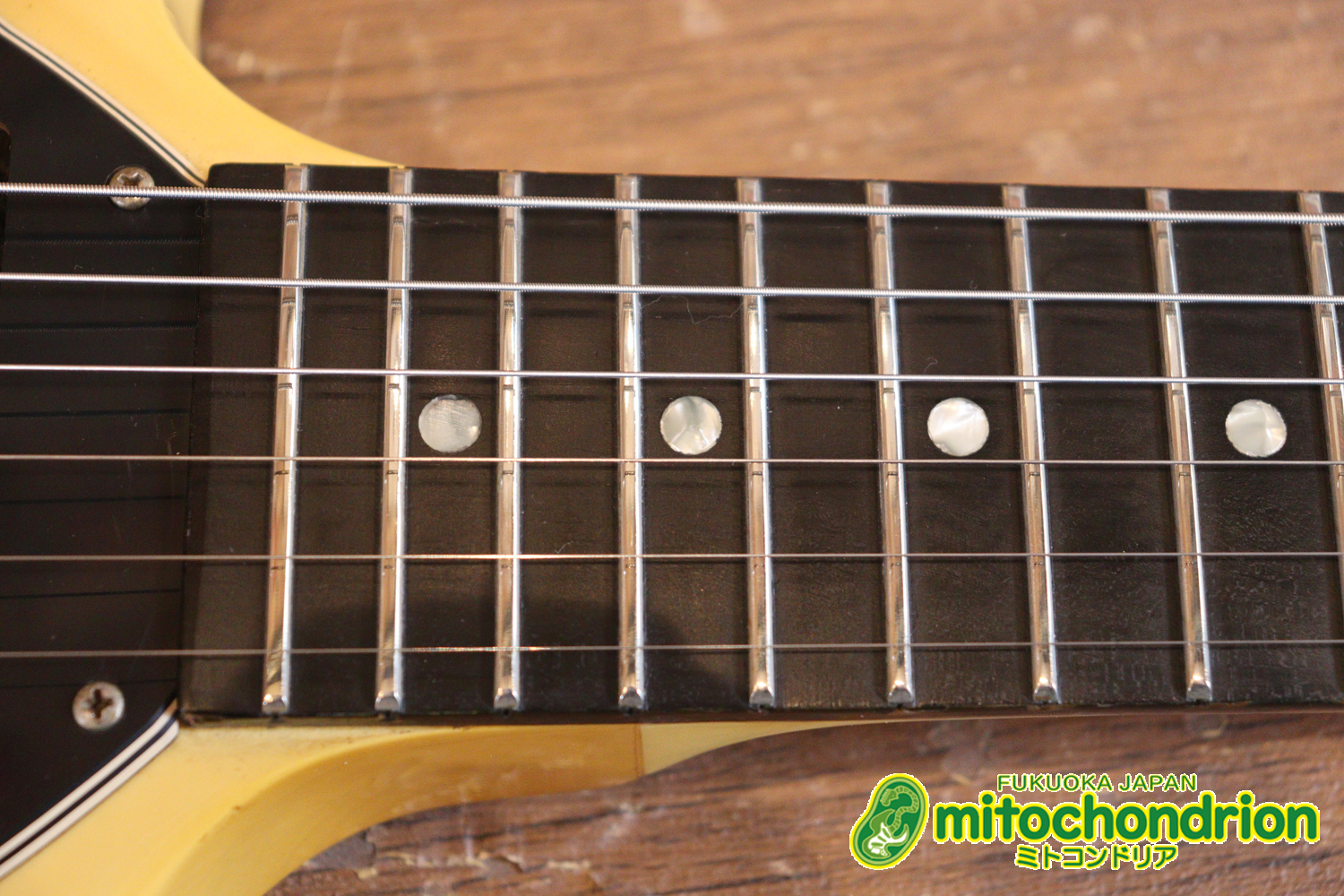 2ハムバッカーなのにスペシャル？しかもエボニー指版？