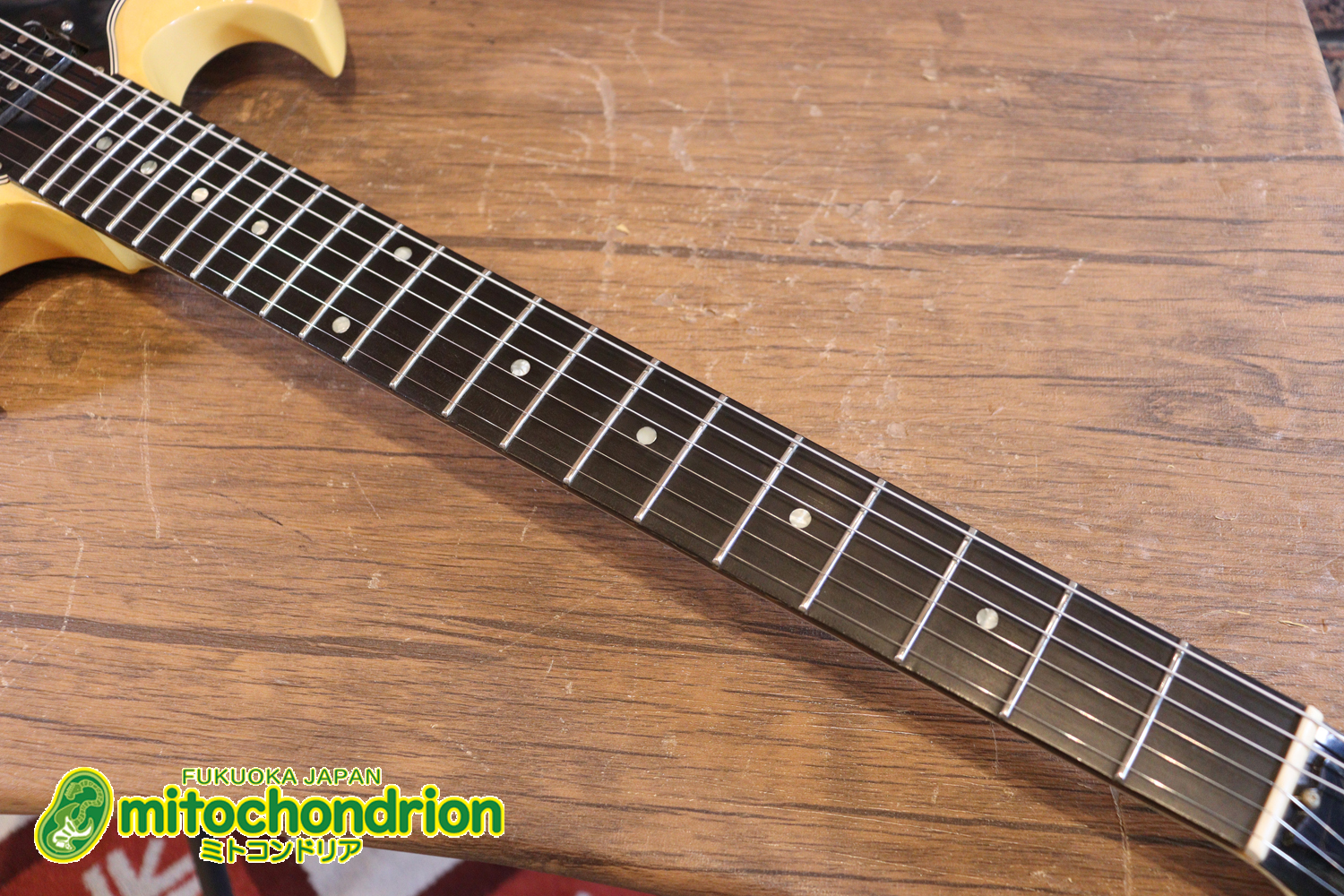 2ハムバッカーなのにスペシャル？しかもエボニー指版？