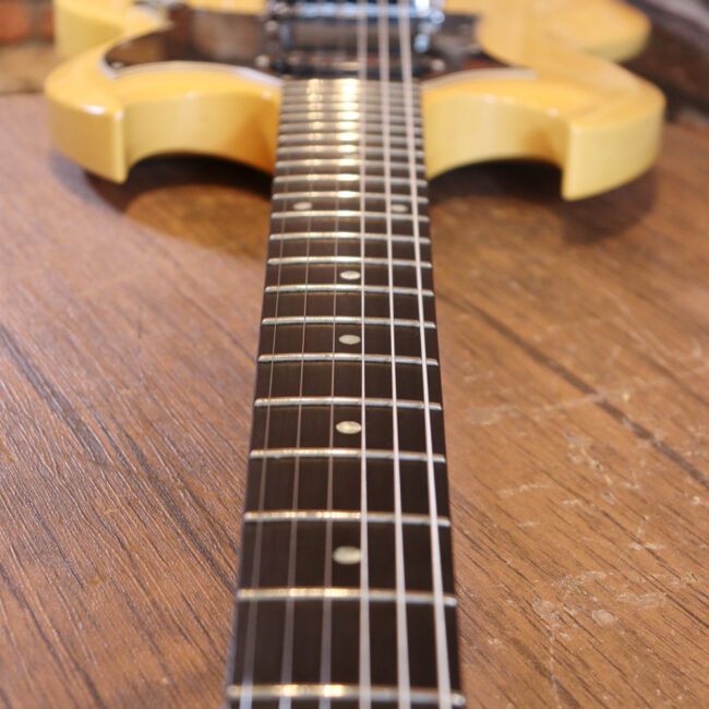 2ハムバッカーなのにスペシャル？しかもエボニー指版？