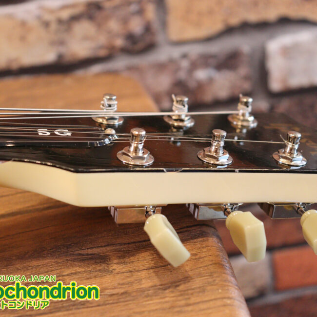 2ハムバッカーなのにスペシャル？しかもエボニー指版？