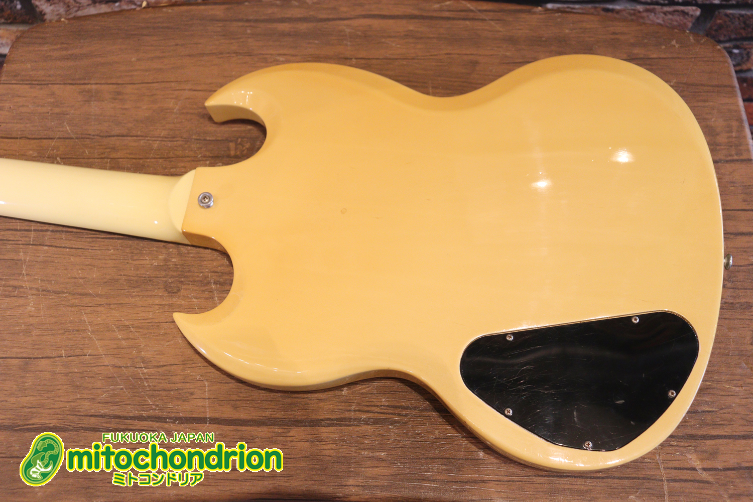 2ハムバッカーなのにスペシャル？しかもエボニー指版？