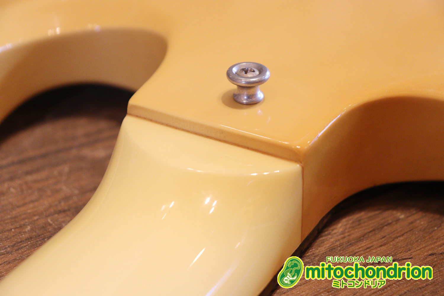 2ハムバッカーなのにスペシャル？しかもエボニー指版？