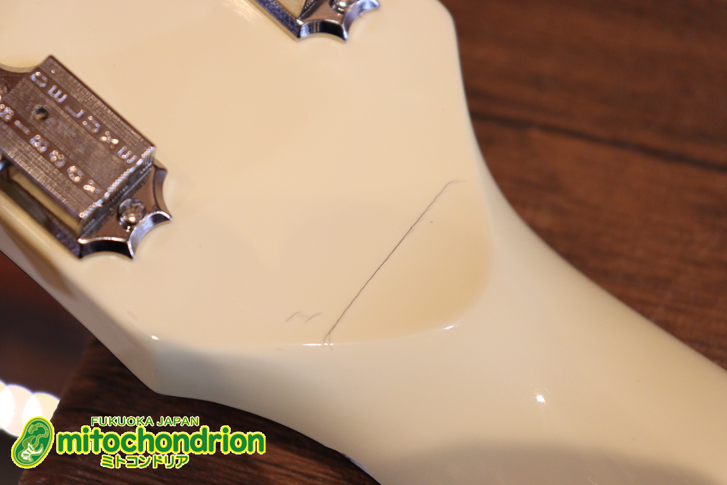 2ハムバッカーなのにスペシャル？しかもエボニー指版？