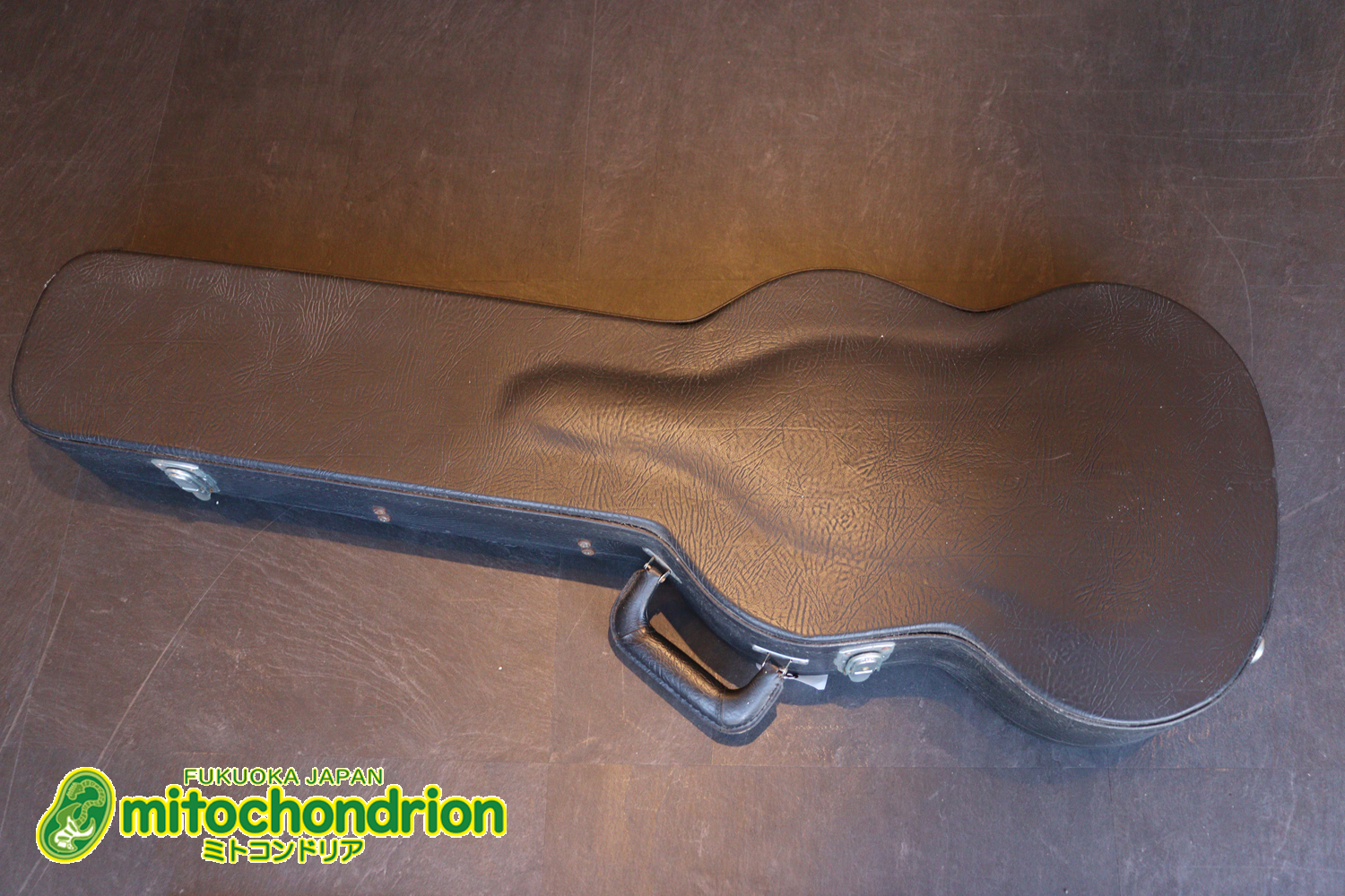 2ハムバッカーなのにスペシャル？しかもエボニー指版？