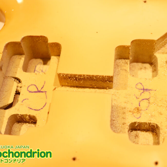 2ハムバッカーなのにスペシャル？しかもエボニー指版？