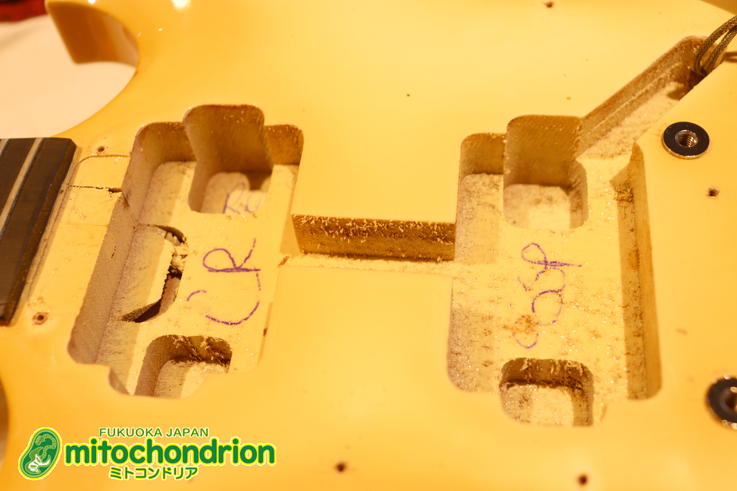 2ハムバッカーなのにスペシャル？しかもエボニー指版？