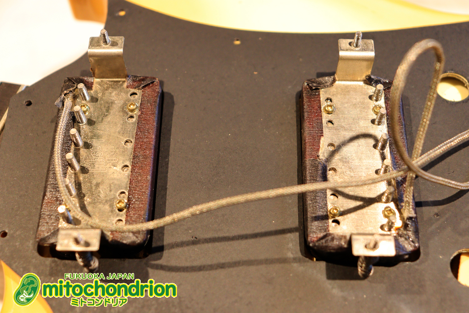 2ハムバッカーなのにスペシャル？しかもエボニー指版？