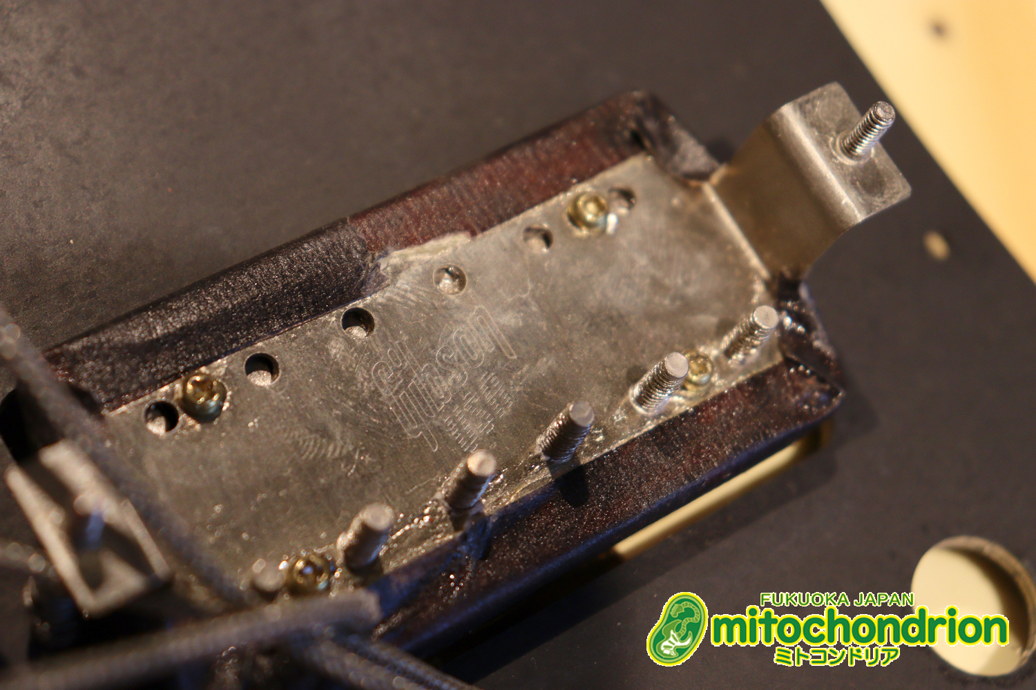 2ハムバッカーなのにスペシャル？しかもエボニー指版？