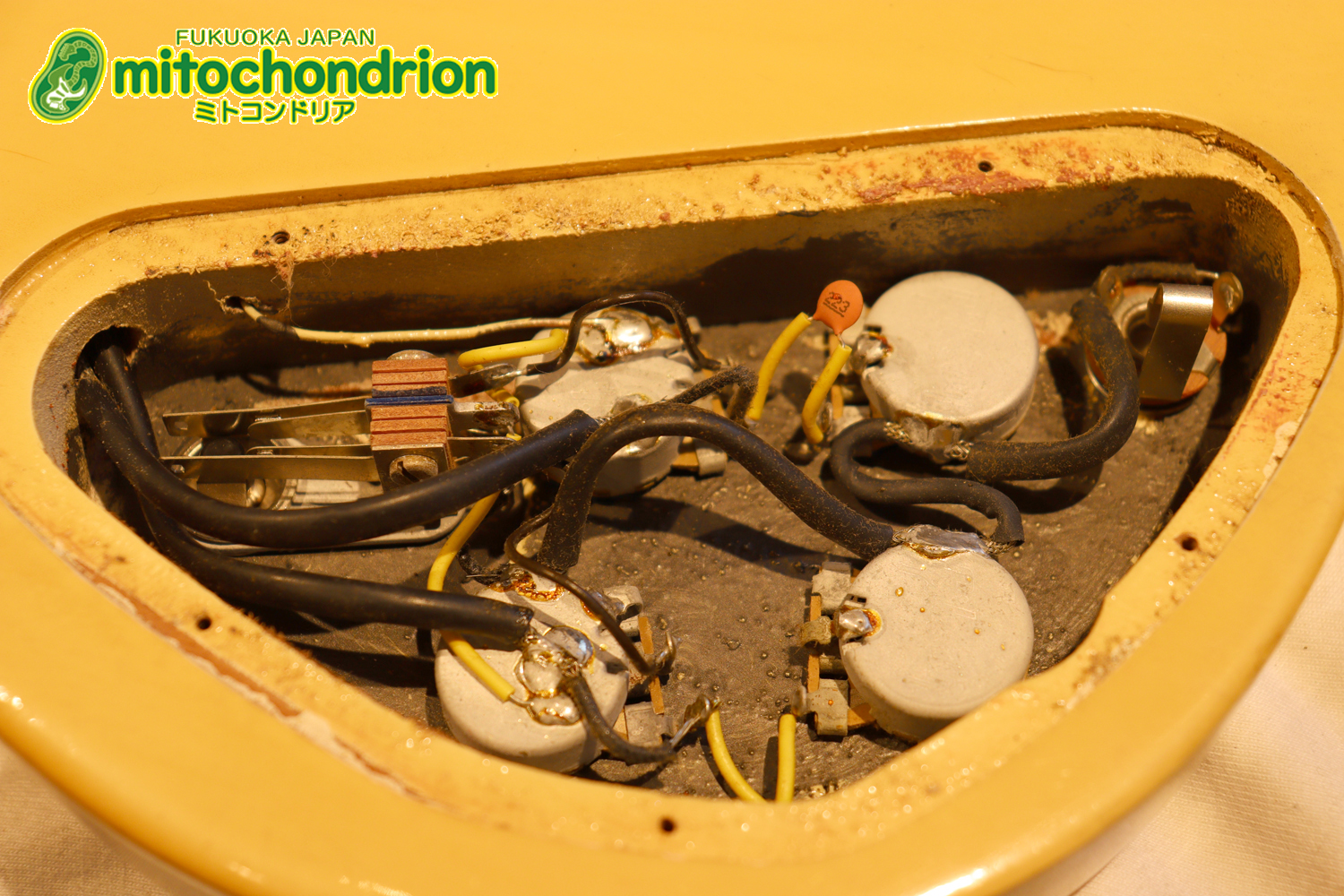 2ハムバッカーなのにスペシャル？しかもエボニー指版？