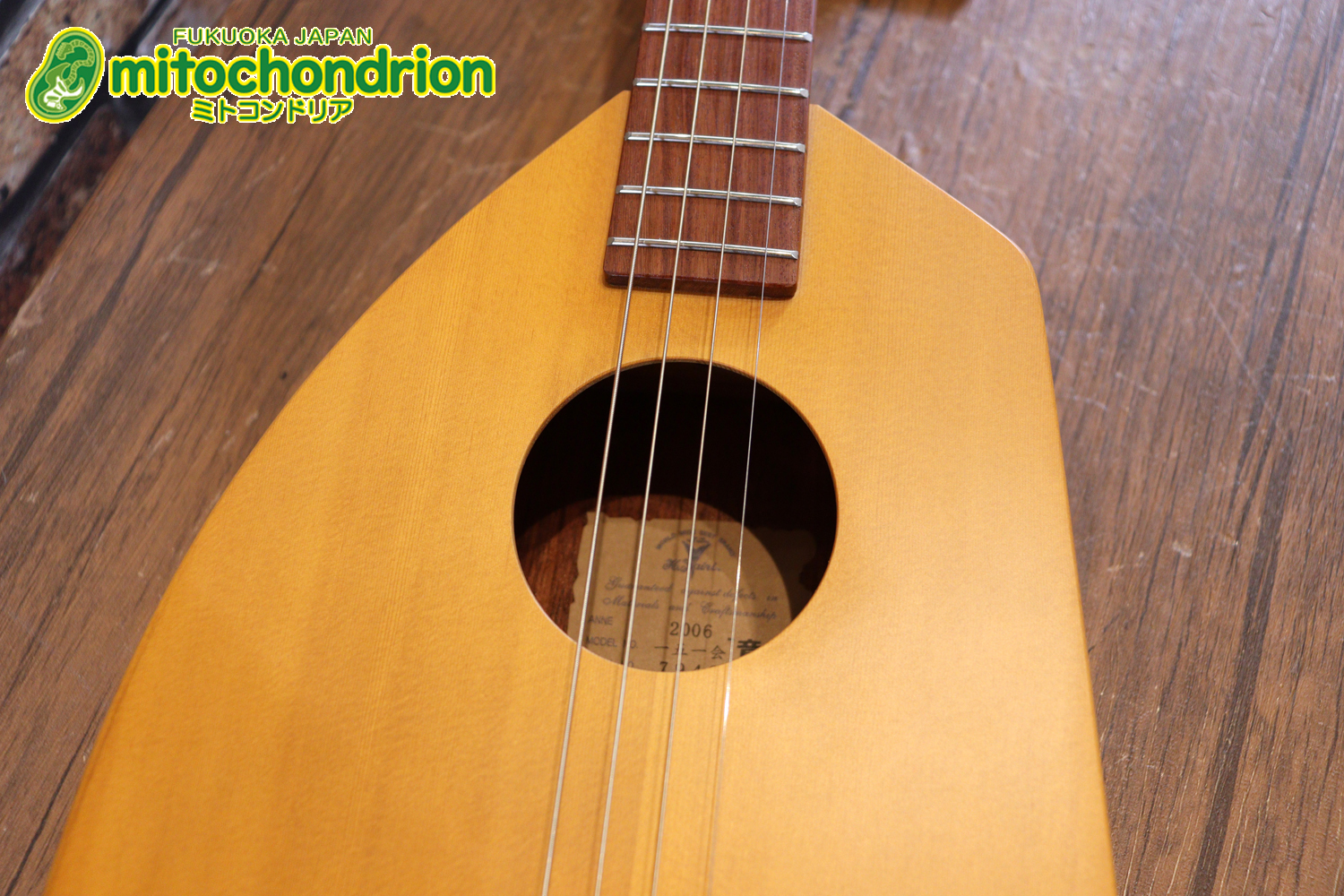 人差し指1本で簡単に弾ける、ヤイリギターとBEGINが誕生させた楽器です！