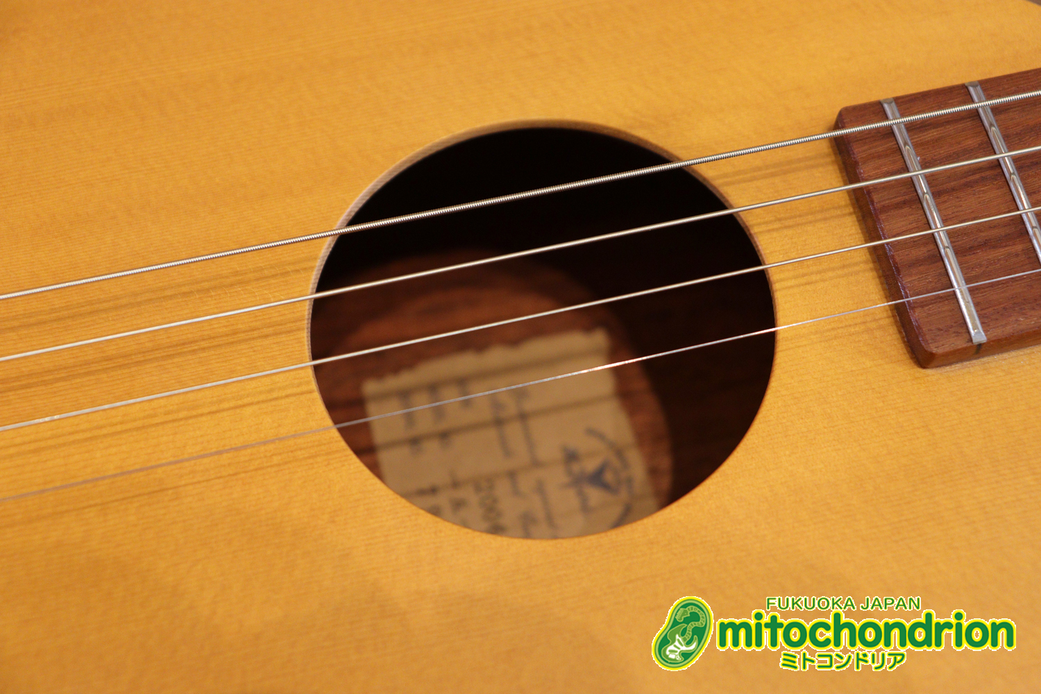 人差し指1本で簡単に弾ける、ヤイリギターとBEGINが誕生させた楽器です！