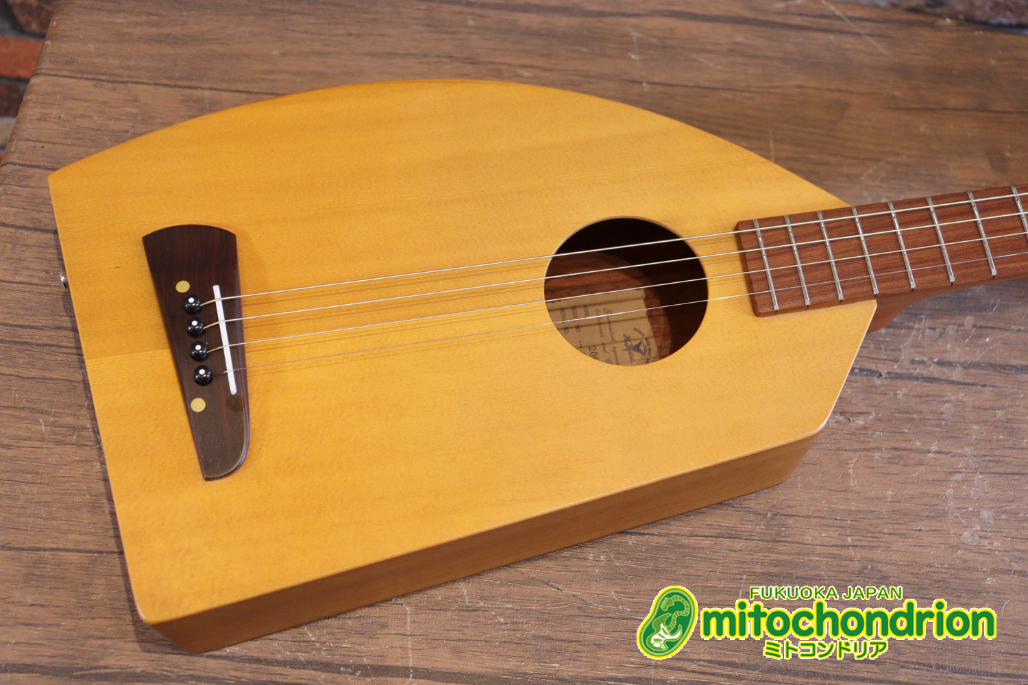 人差し指1本で簡単に弾ける、ヤイリギターとBEGINが誕生させた楽器です！