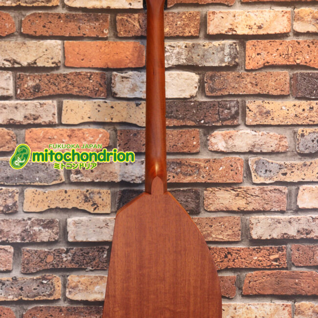 人差し指1本で簡単に弾ける、ヤイリギターとBEGINが誕生させた楽器です！