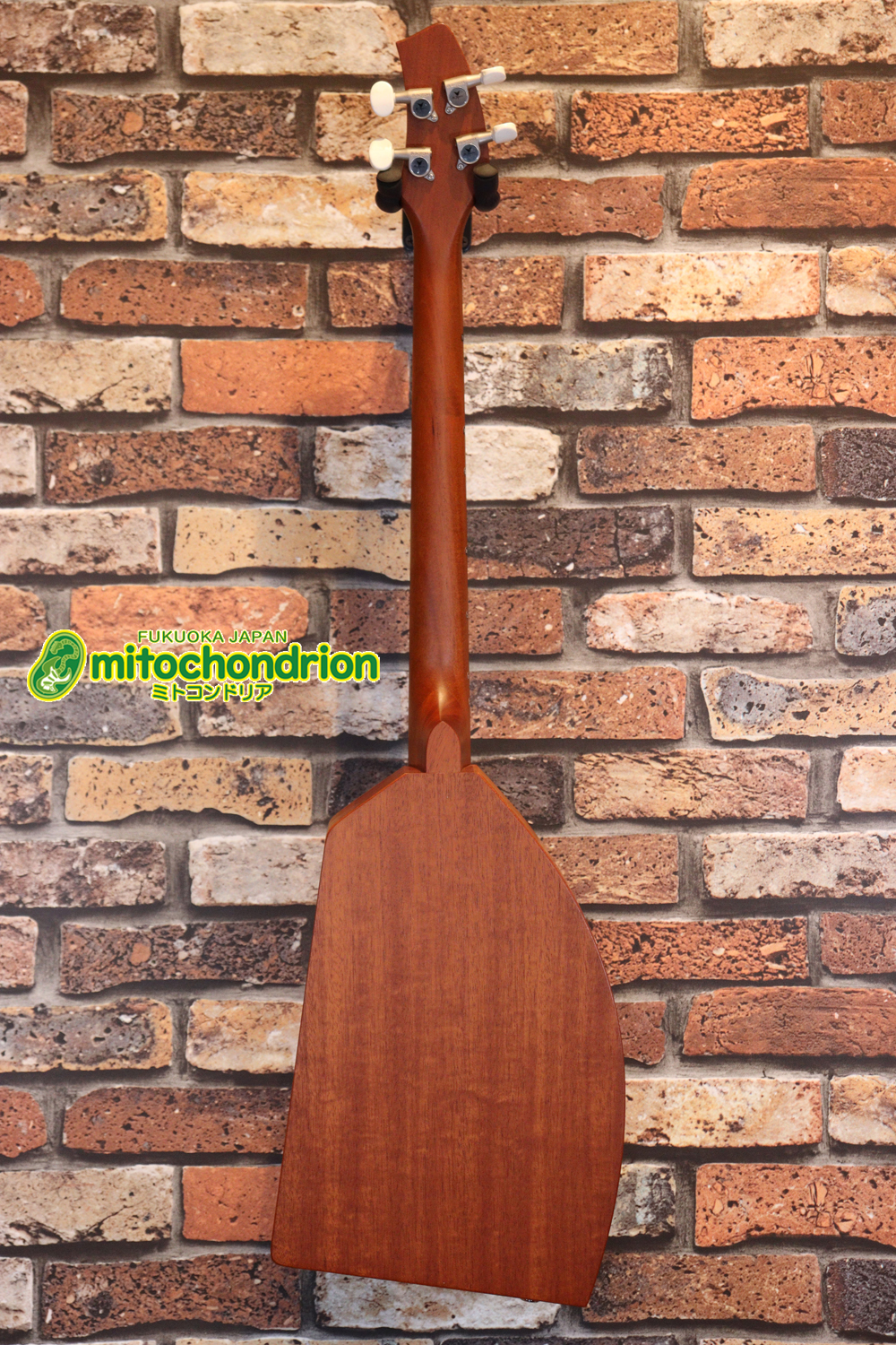 人差し指1本で簡単に弾ける、ヤイリギターとBEGINが誕生させた楽器です！