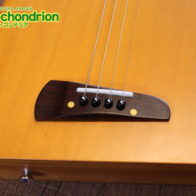 人差し指1本で簡単に弾ける、ヤイリギターとBEGINが誕生させた楽器です！