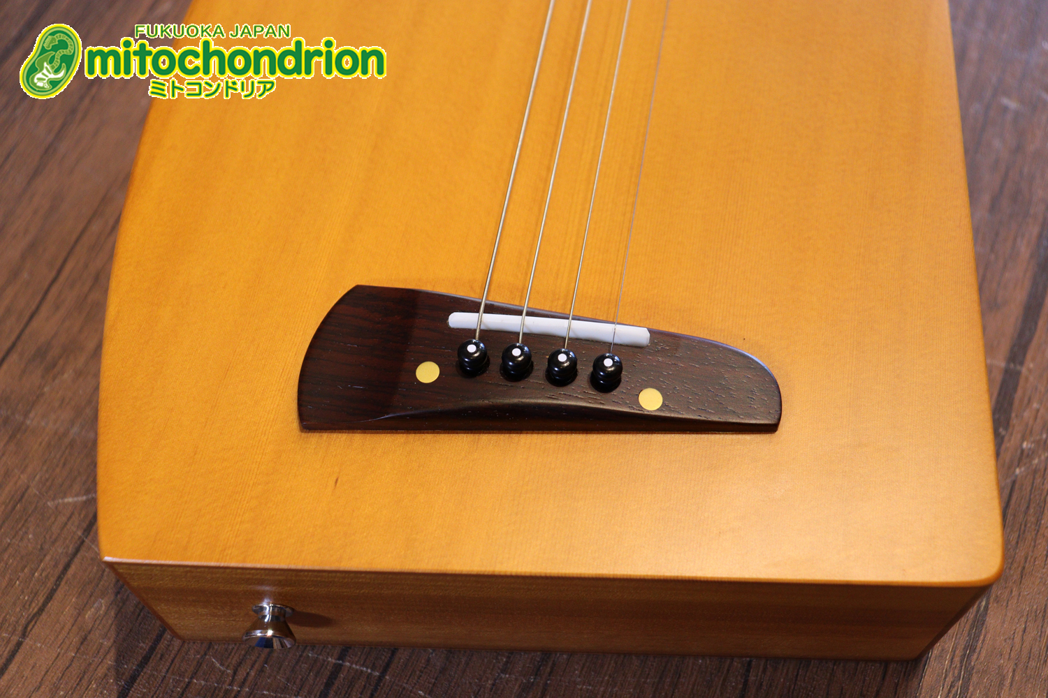 人差し指1本で簡単に弾ける、ヤイリギターとBEGINが誕生させた楽器です！