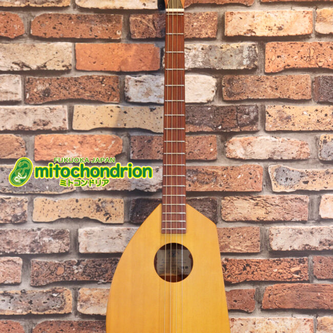 人差し指1本で簡単に弾ける、ヤイリギターとBEGINが誕生させた楽器です！