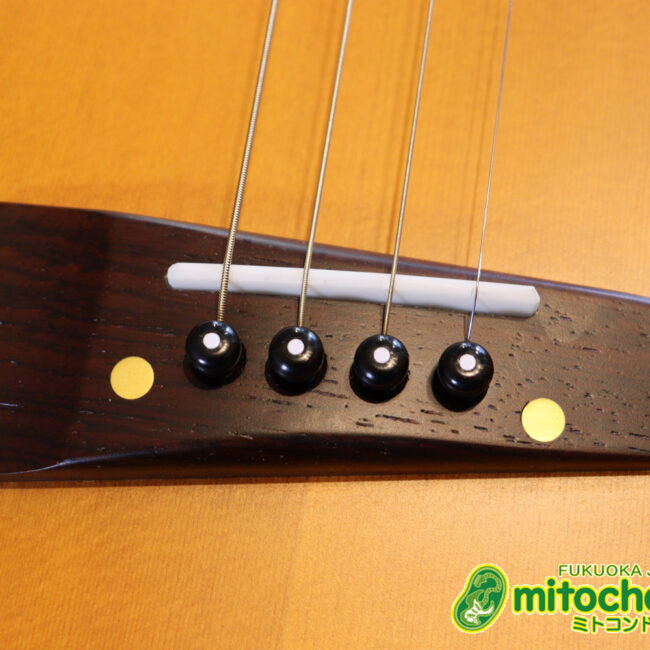 人差し指1本で簡単に弾ける、ヤイリギターとBEGINが誕生させた楽器です！