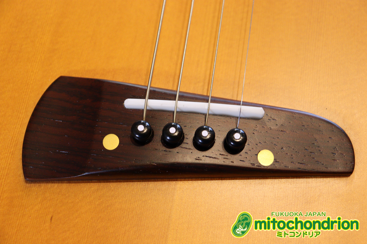 人差し指1本で簡単に弾ける、ヤイリギターとBEGINが誕生させた楽器です！