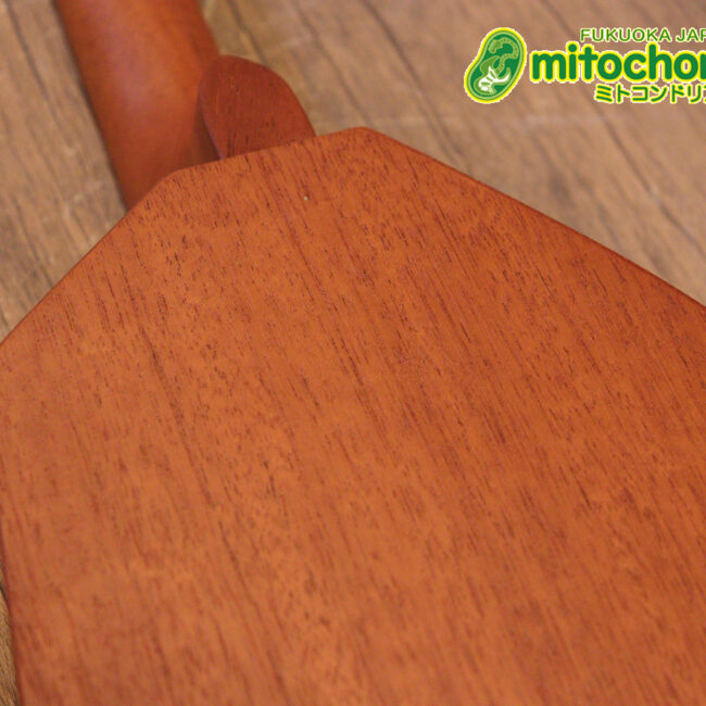 人差し指1本で簡単に弾ける、ヤイリギターとBEGINが誕生させた楽器です！