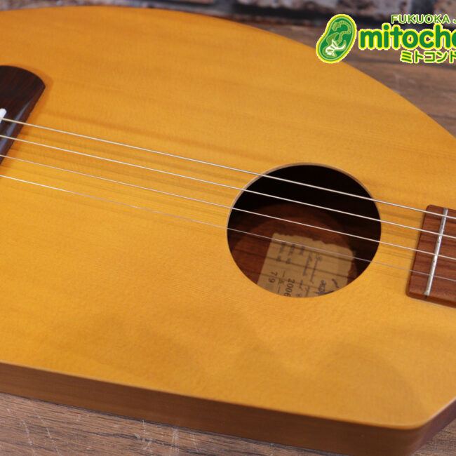 人差し指1本で簡単に弾ける、ヤイリギターとBEGINが誕生させた楽器です！