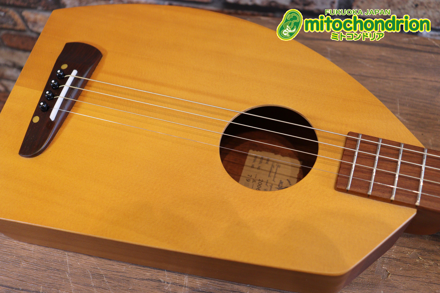 人差し指1本で簡単に弾ける、ヤイリギターとBEGINが誕生させた楽器です！