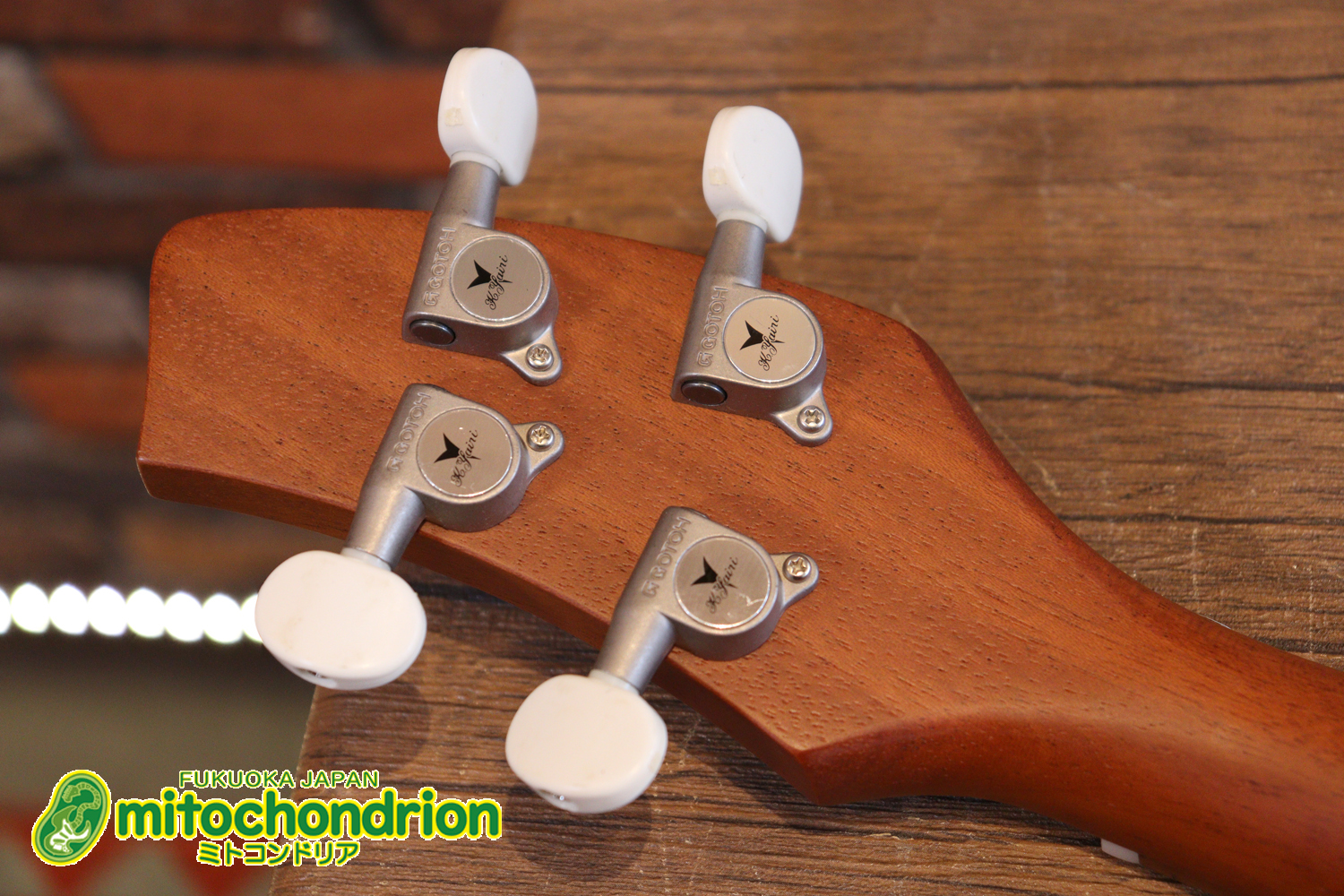 人差し指1本で簡単に弾ける、ヤイリギターとBEGINが誕生させた楽器です！