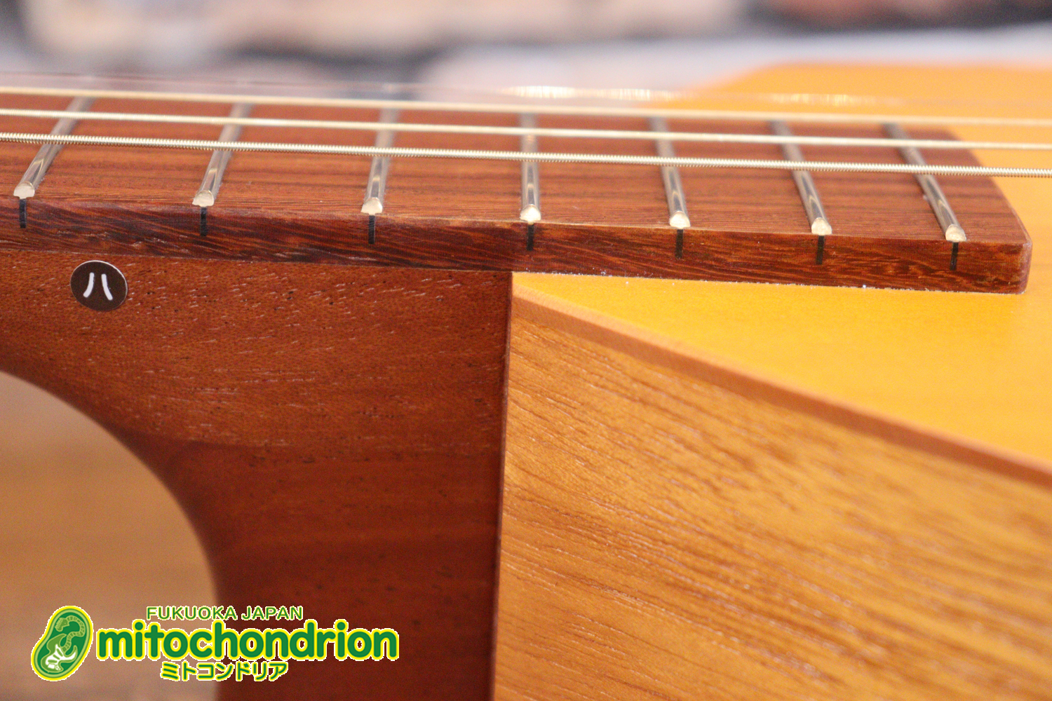 人差し指1本で簡単に弾ける、ヤイリギターとBEGINが誕生させた楽器です！