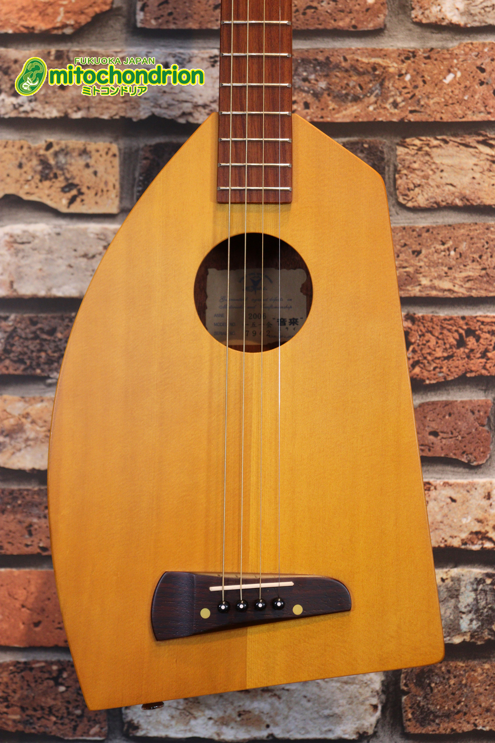 人差し指1本で簡単に弾ける、ヤイリギターとBEGINが誕生させた楽器です！