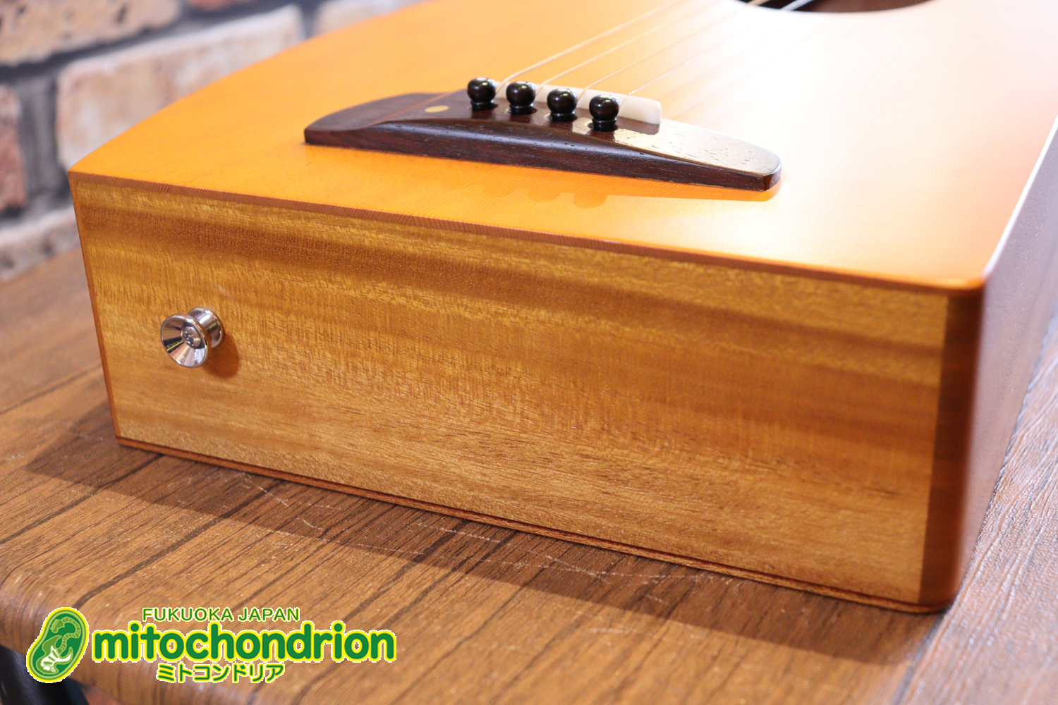 人差し指1本で簡単に弾ける、ヤイリギターとBEGINが誕生させた楽器です！