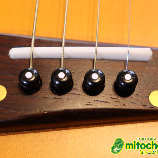 人差し指1本で簡単に弾ける、ヤイリギターとBEGINが誕生させた楽器です！