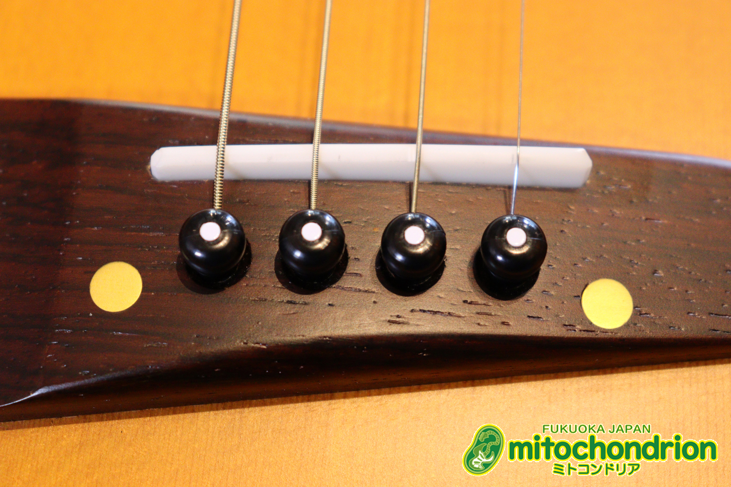 人差し指1本で簡単に弾ける、ヤイリギターとBEGINが誕生させた楽器です！